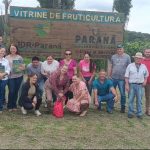 CEASOL realiza intercâmbio técnico em fruticultura na Lapa (PR)