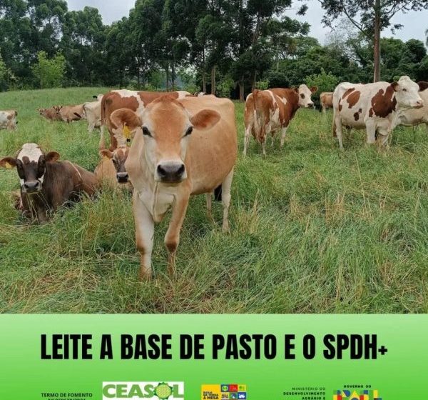 Turma de formação de dirigentes e agentes do Projeto Da Terra À Mesa