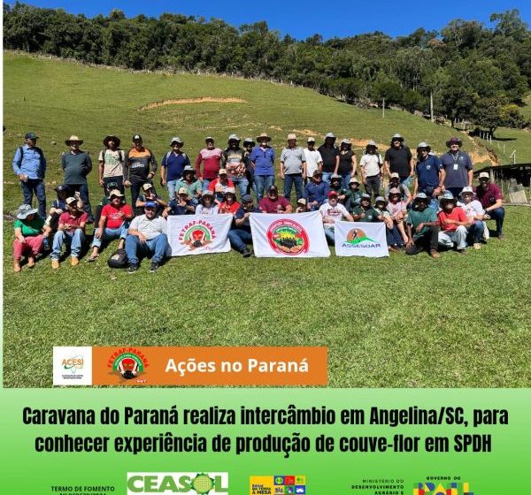 Intercâmbio para conhecer a experiência de produção de couve-flor em SPDH, da família Hoffmann.